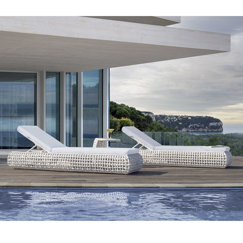 Dynasty Chaise Lounger Sunbrella Cushion - image 4