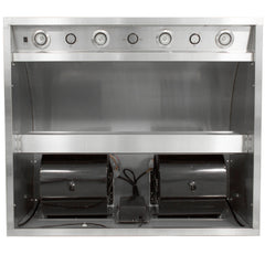 42" Blaze Outdoor Vent Hood with Dual Motors - SKU: BLZ-42-VHOOD