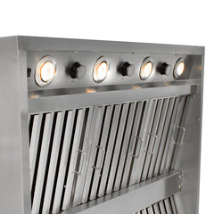 42" Blaze Outdoor Vent Hood with Dual Motors - SKU: BLZ-42-VHOOD