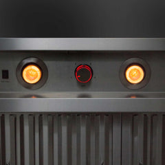42" Blaze Outdoor Vent Hood with Dual Motors - SKU: BLZ-42-VHOOD