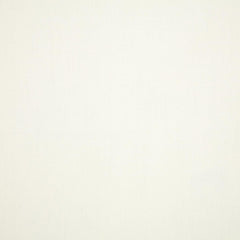 Canvas Natural (1 pair) cushion