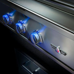 Delta Heat 26-Inch 2-Burner Built-In Gas Grill