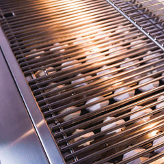 Delta Heat 26-Inch 2-Burner Built-In Gas Grill