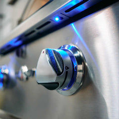 Delta Heat Built-in Pizza Oven