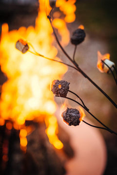 Fire Pit Art Marshmallow Roasting Stick