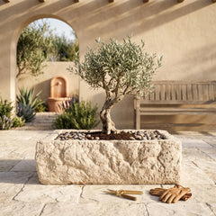 Alpine Planter