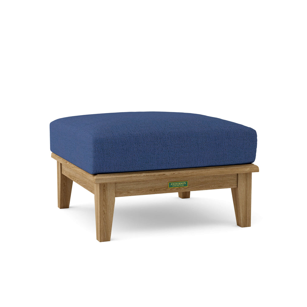 Canvas Navy cushion