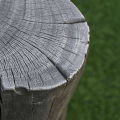 Log Seats For Fire Pit - Elementi Warren ONE01-103