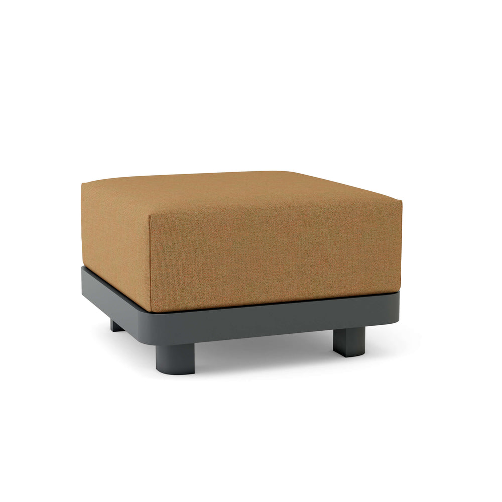 Canvas Teak cushion