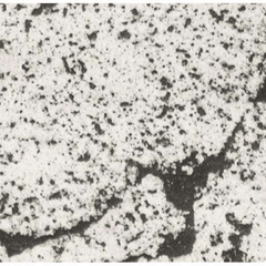 The Outdoor Plus Angelus Concrete Fire Pit